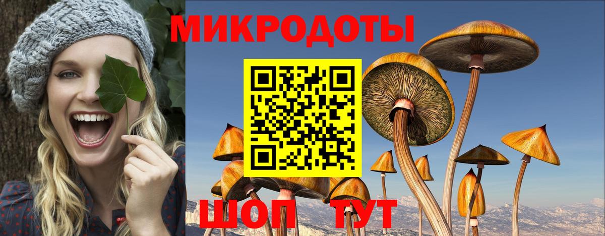 Псилоцибиновые грибы Psilocybe  Вход с VPN  Великий Устюг 