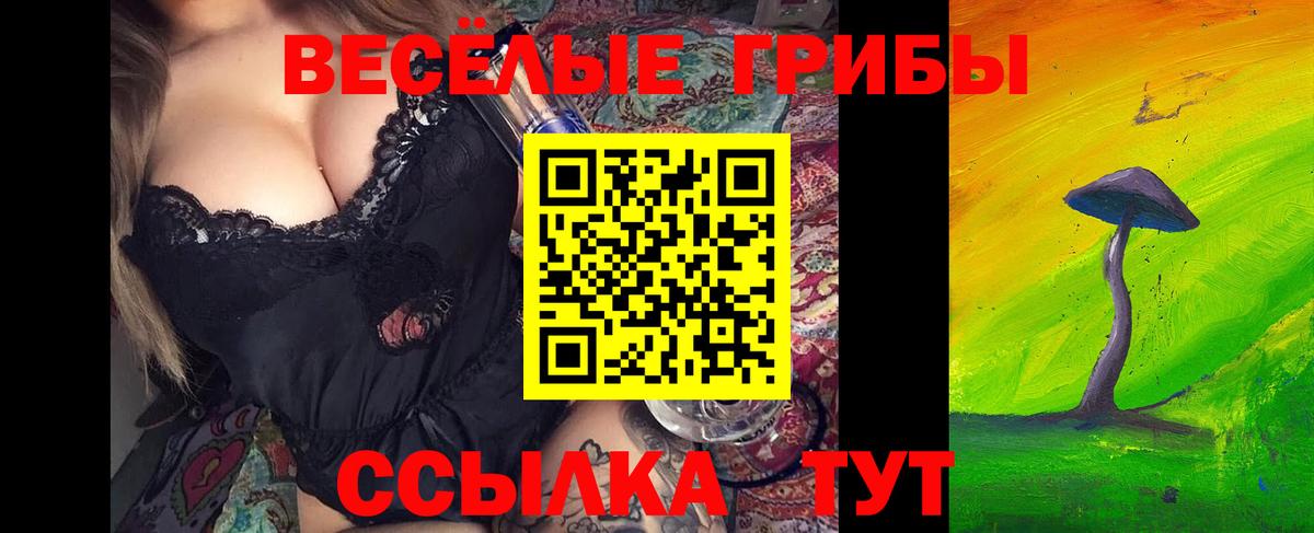 Псилоцибиновые грибы прущие грибы Великий Устюг